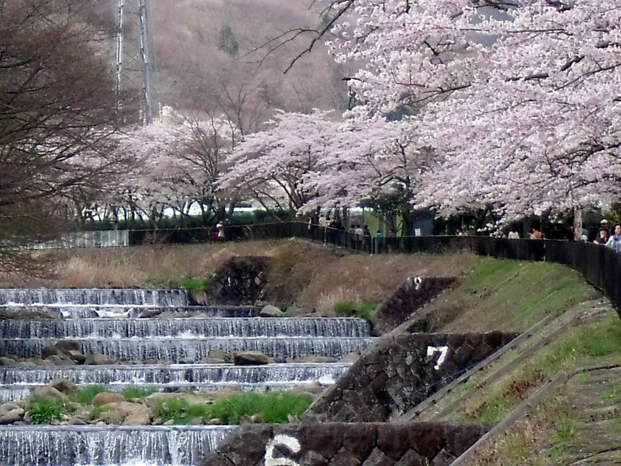 HAKONE GORA ONSEN Hotel Kasansui Bagian luar foto